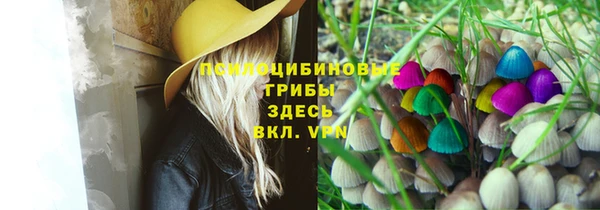 гашик Белая Калитва
