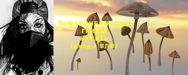 2c-b Арсеньев