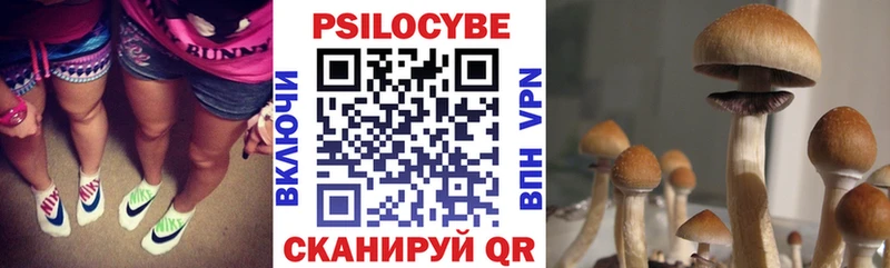 наркота  Учалы  нарко площадка клад  Псилоцибиновые грибы мухоморы 